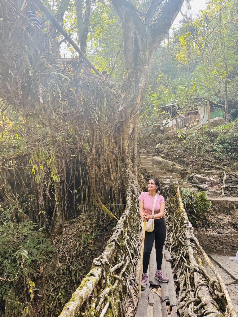 meghalaya living root bridge
