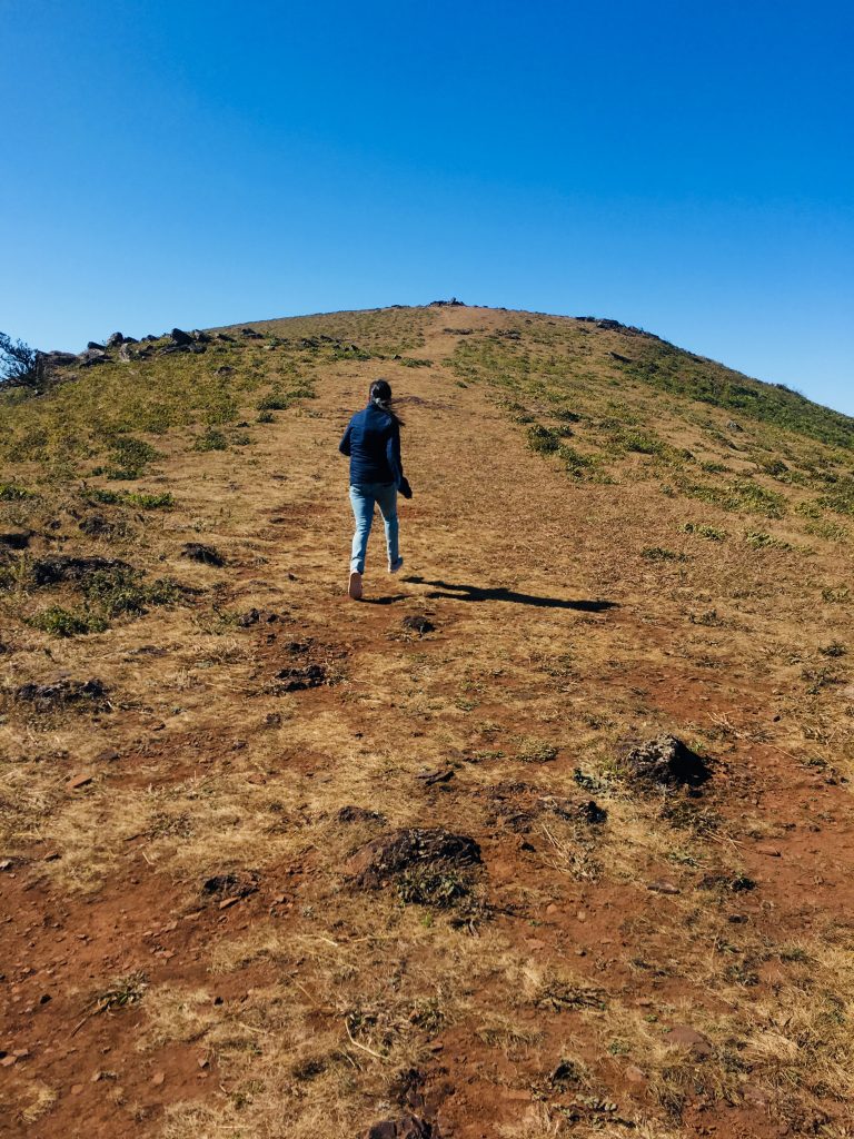 Mullayanagiri Peak, Chikkamagaluru