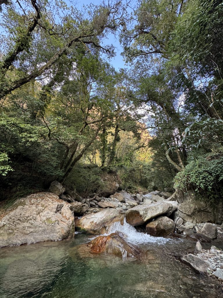 stream at Chopta valley closer to our stay