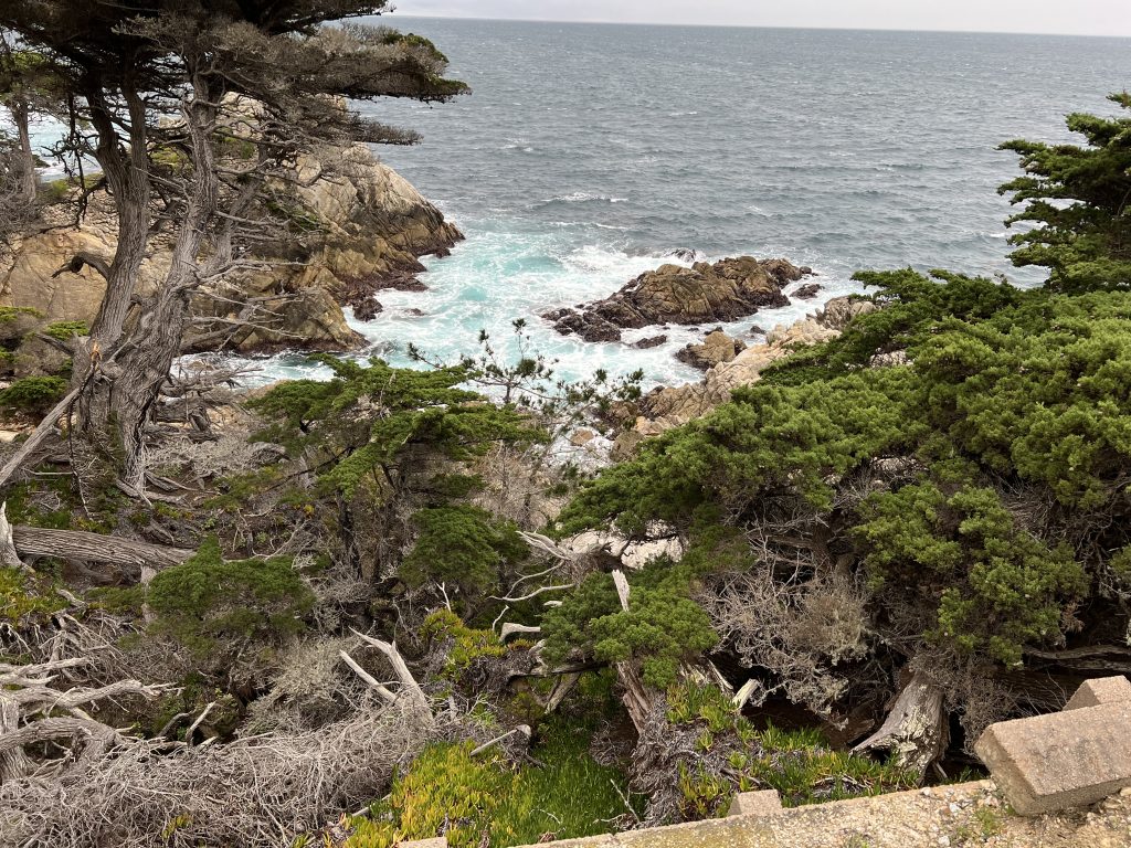 17 mile loop drive, pacific coast highway, San Francisco