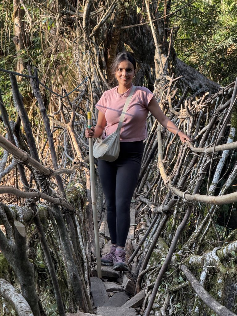 Single root bridge, Meghalaya