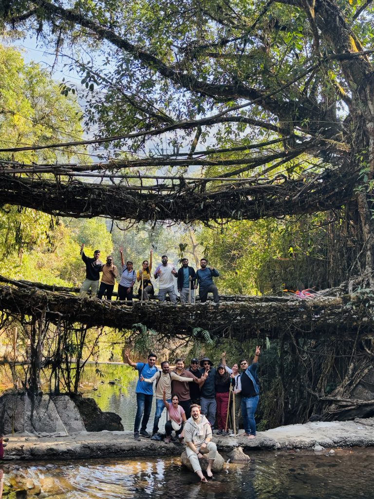 Double decker living root bridge, nongriat