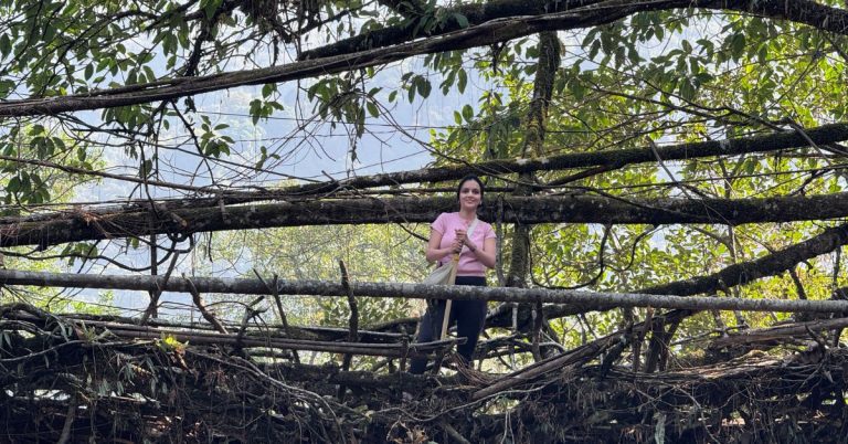 double decker living root bridge