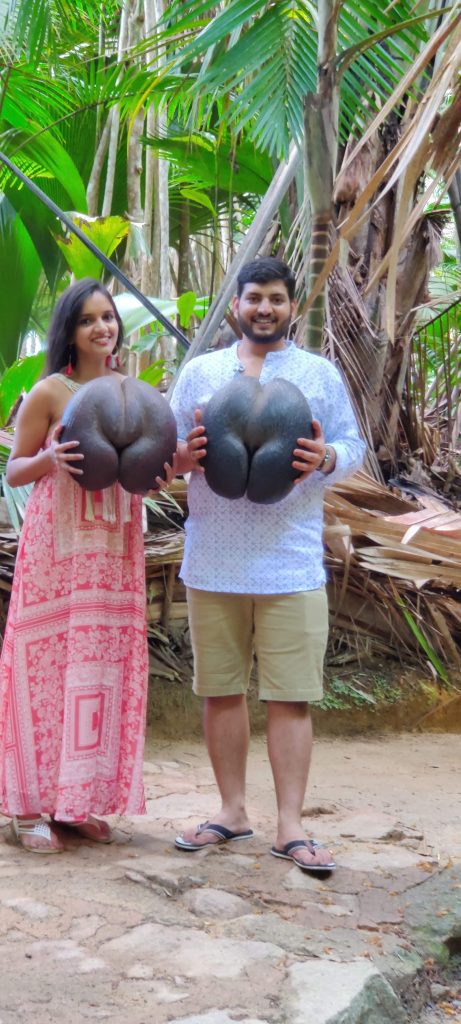 Valle De Mai, seychelles for indians