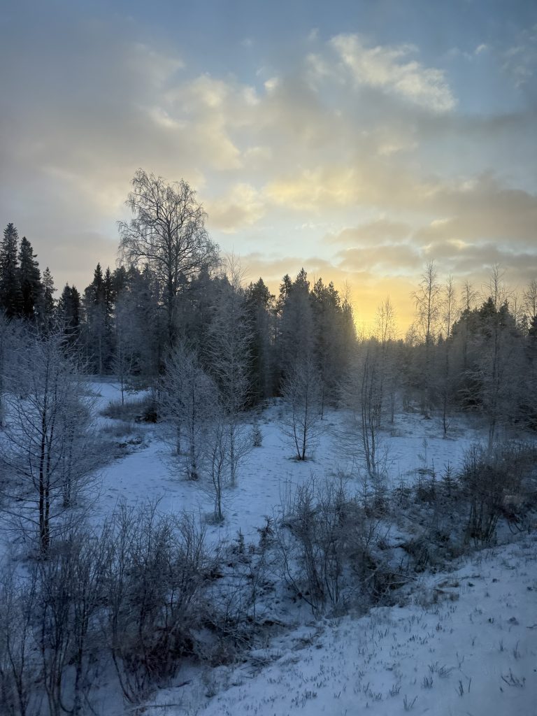 Rovaniemi - schengen visa guide