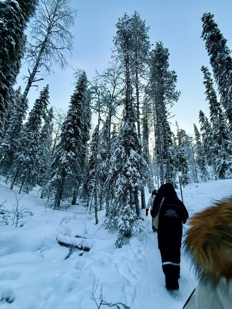 Snowland, rovaniemi